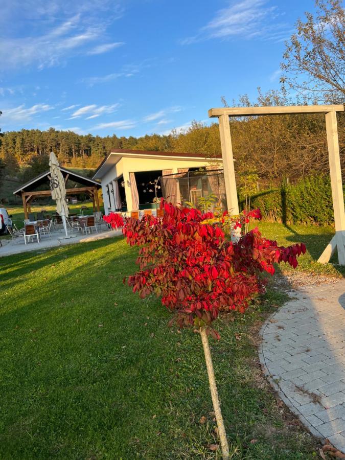 Pensiunea Baroc Dobirlau Εξωτερικό φωτογραφία