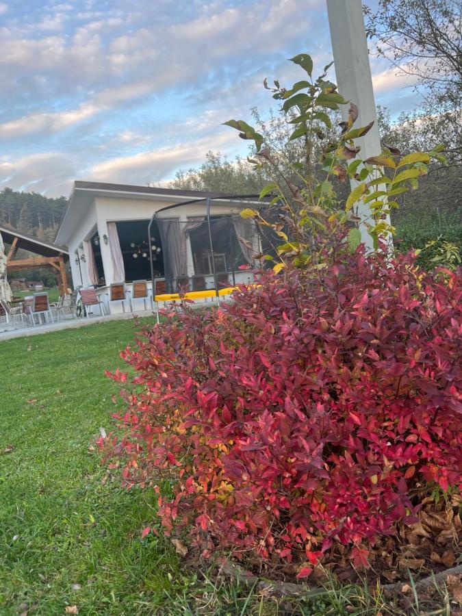Pensiunea Baroc Dobirlau Εξωτερικό φωτογραφία
